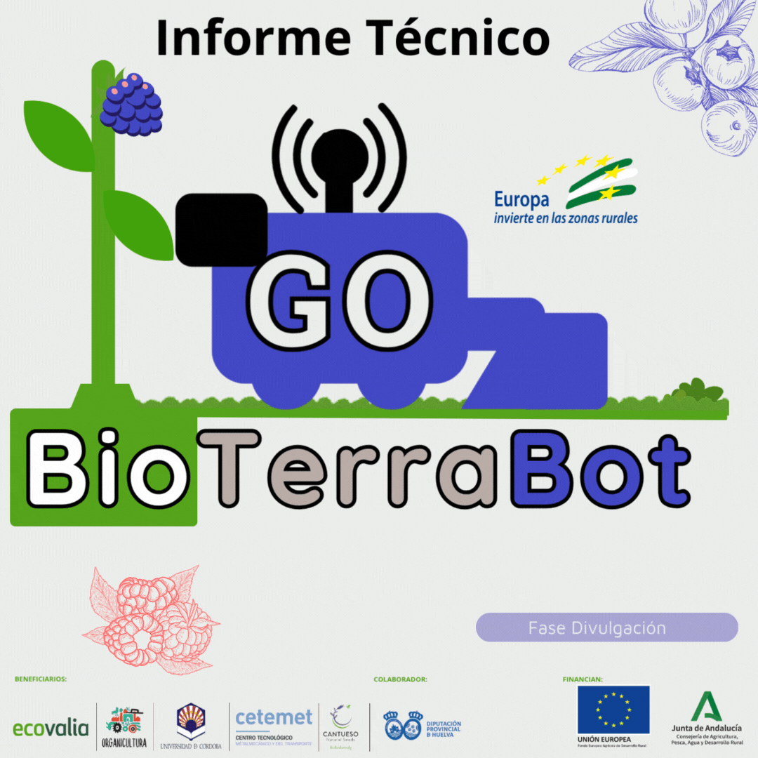 GIF de presentación del informe